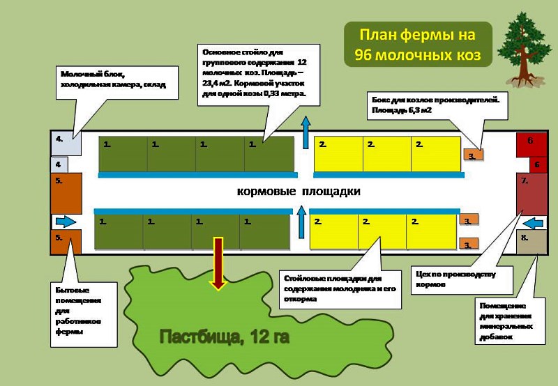 План мини фермы для разных животных