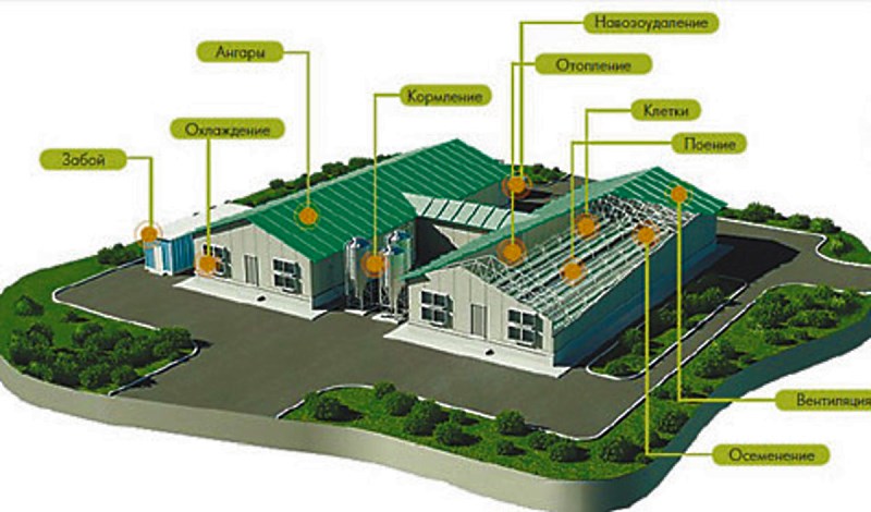 Схема кролиководческой фермы